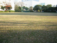 公園奥隣に白壁の大きな建物があり、園内周辺には樹木が点在している広大な芝生の広場がある長沼公園の写真