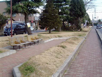 広い道路と狭い道路の間にある細長い園内には樹木が点在しており、左側に2つのベンチが設置されている緑ケ丘2丁目芝公園の写真