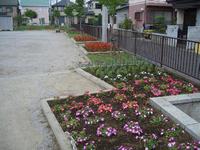 住宅が建ち並ぶ一角にある園内の黒色の柵沿いにピンク色や赤色、紫色の色とりどりの花が咲いている花壇が並んでいる写真