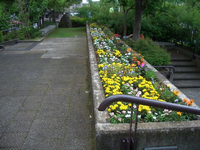 緑豊かな園内の階段の上に縦長の花壇にピンク色や白色、黄色の色とりどりの花が咲いている写真
