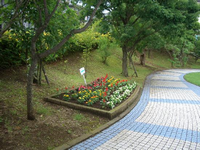 緩やかなカーブになっている遊歩道は水色と白色のタイル張りになっており、左側の花壇には白色や黄色、赤色などの色とりどりの花が咲いている写真