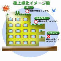 屋上緑化イメージ図