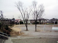 住宅に囲まれた一角にあり、園内中央に2本の大きな木が立ち並んで、右横にブランコが設置されている弥生公園の写真