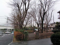 周囲に垣根で覆われ樹木が点在している園内入口に2つの石柱が立っています。園内を傘をさして2人歩いている里見台わかば公園の写真