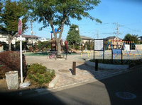園内周囲に樹木と垣根が点在し、公園の入口に1本の大きな木が植えてあり、奥には複合遊具、右側にブランコが設置されている緑ケ丘南公園の写真