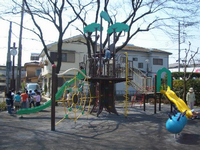 住宅街の一角にある園内には樹木が点在し、中央の大きな複合遊具に乗って遊んでいる子供たちの写真