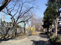 周囲には樹木が植えられている横長の園内には、大きな桜の木が点在しており奥にはシーソー、手前にはすべり台が設置されているあさひみなみ(ふじみ)公園の写真