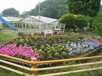 樹木が植えられている園内左側にすべり台、手前にピンク色や黄色、赤色などの色とりどりの花が咲いている花壇がある赤羽根公園の写真
