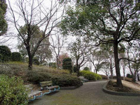 高台にある園内に植木や樹木が植えられており、通路にはベンチが設置されている鳶尾中央公園の写真