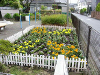園内左奥に鉄棒が設置されております。道路を隔てた黒色の柵の内側に、オレンジや黄色などの色とりどり花が咲いている白色の木枠で囲まれた花壇の写真