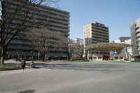 マンションに囲まれており、右側奥にコンビネーション遊具、手前に野外ステージ、周囲には大きな木が点在している園内の広場の写真 拡大画像