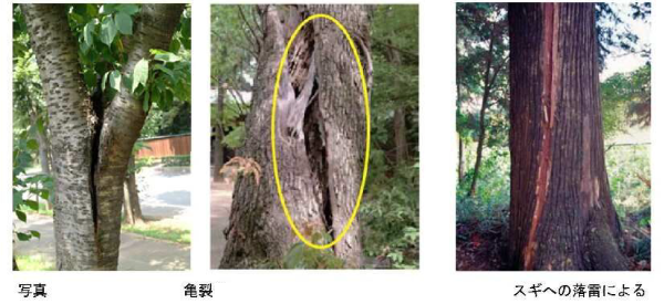 亀裂