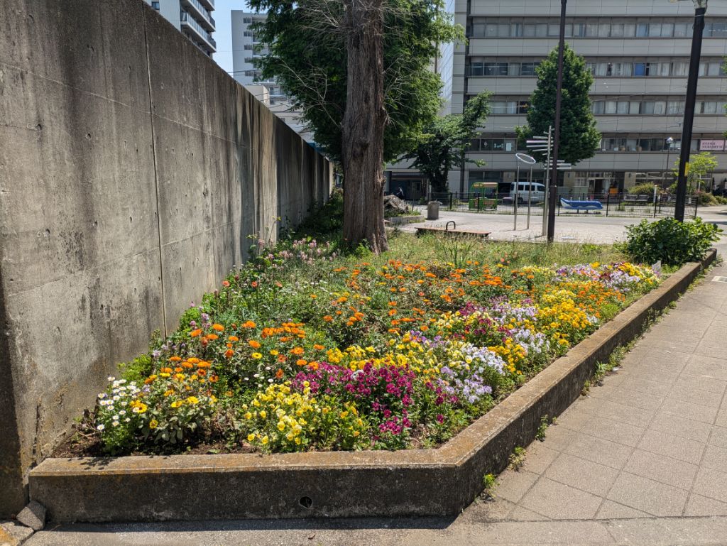 大手公園（現在、団体辞退のためボランティア団体募集中）