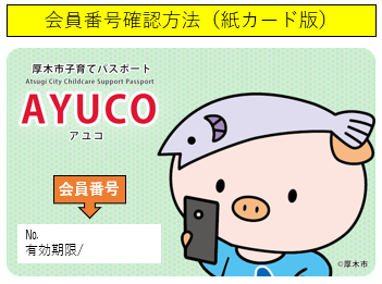 紙カード版
