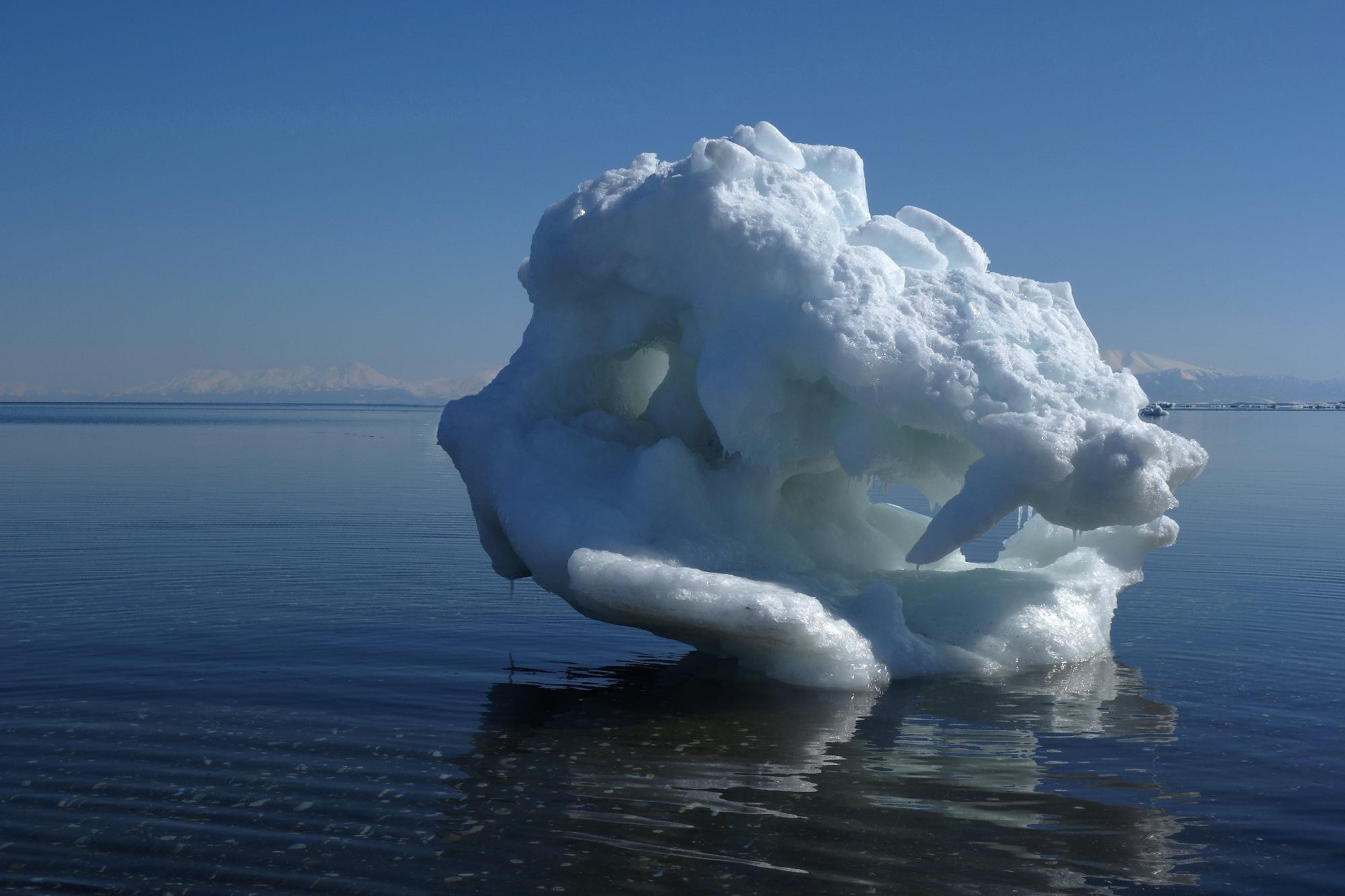 網走市の流氷の写真