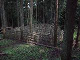 子供の森の木々に囲まれた柵の写真