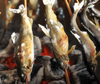 串に刺さった3匹の鮎が炭の周りで焼かれている厚木の鮎の写真