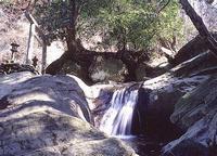 山中の岩場を小さな滝が流れている大釜弁財天の写真
