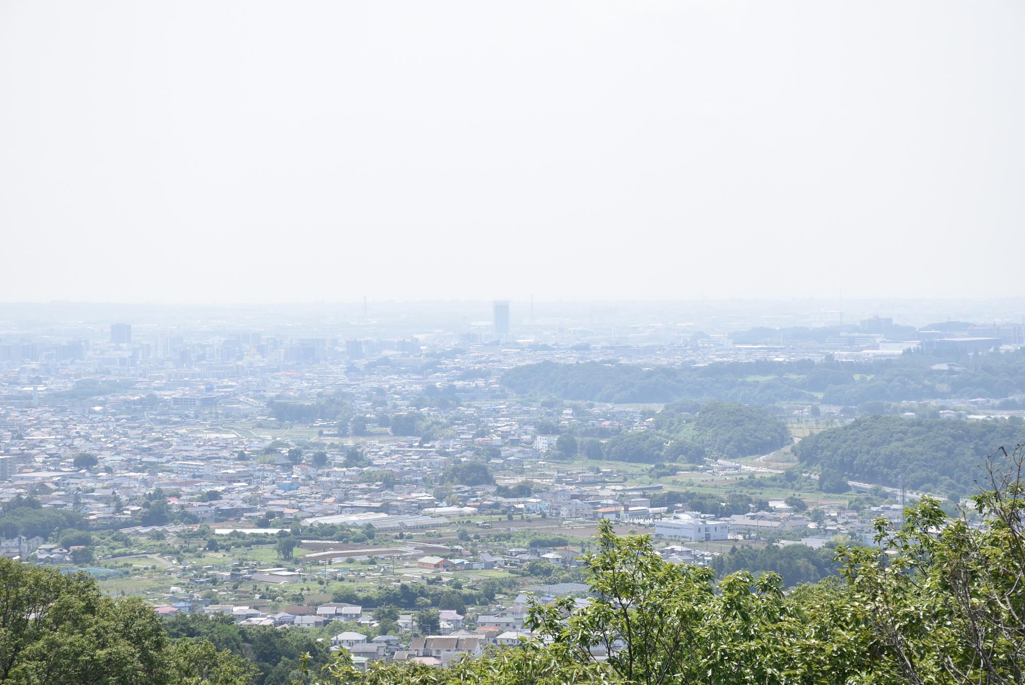 展望台からの眺め