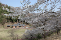 左奥には小屋があり、右側には白い花が咲いたシャクナゲの木が並んでいる写真