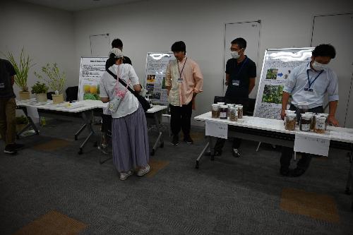 植物の不思議なにおい体験