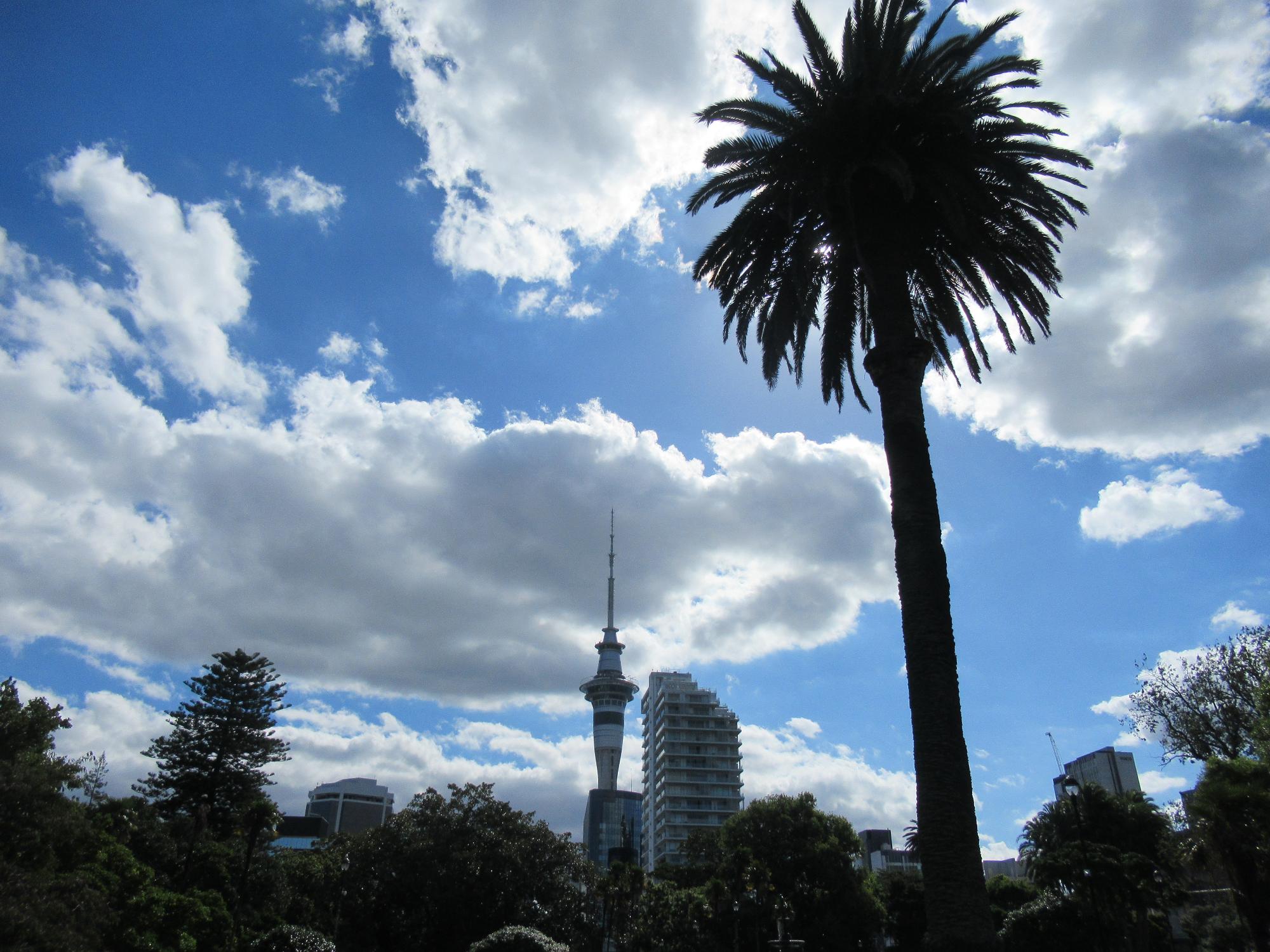 ニュージーランド風景