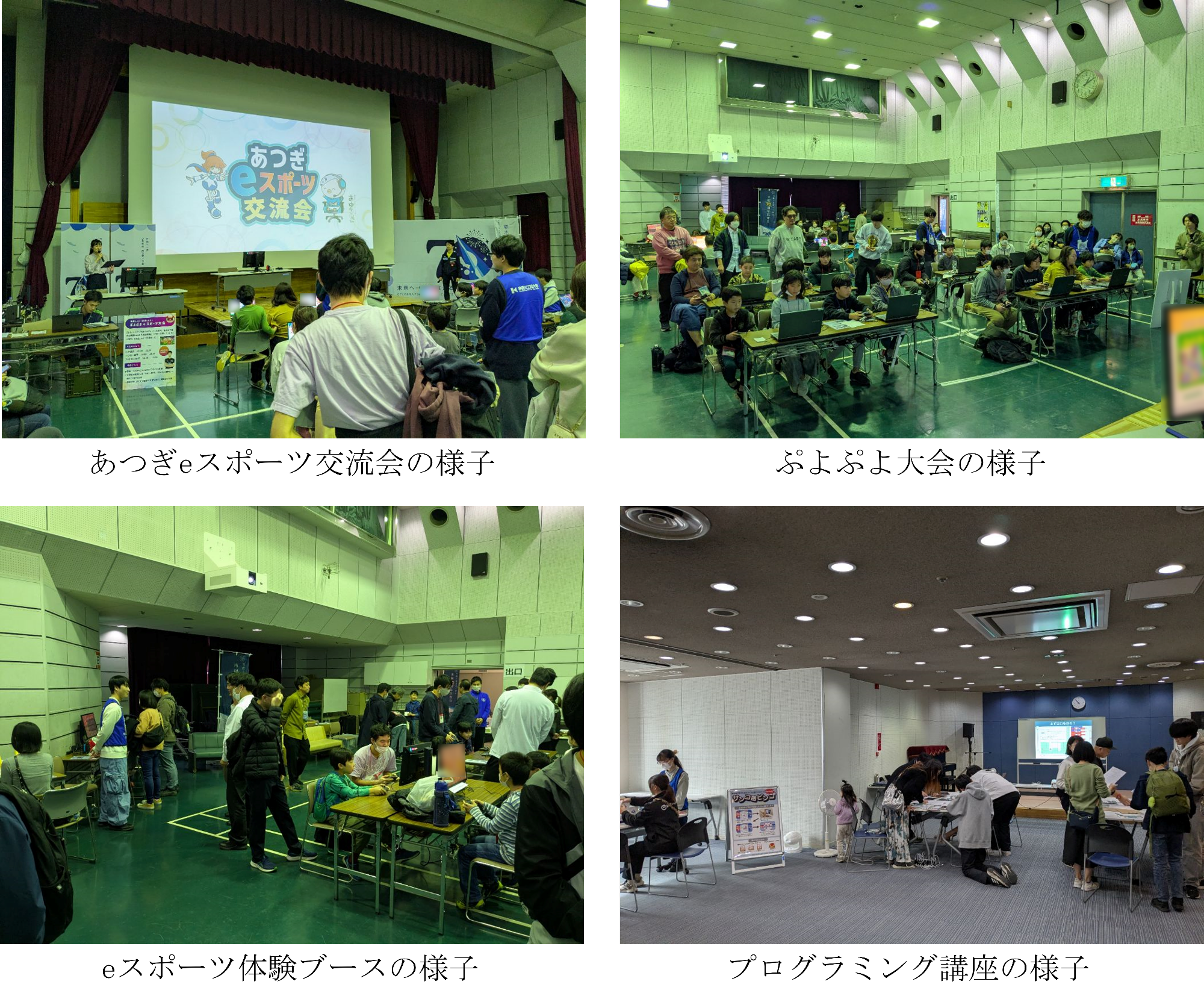 あつぎeスポーツ交流会