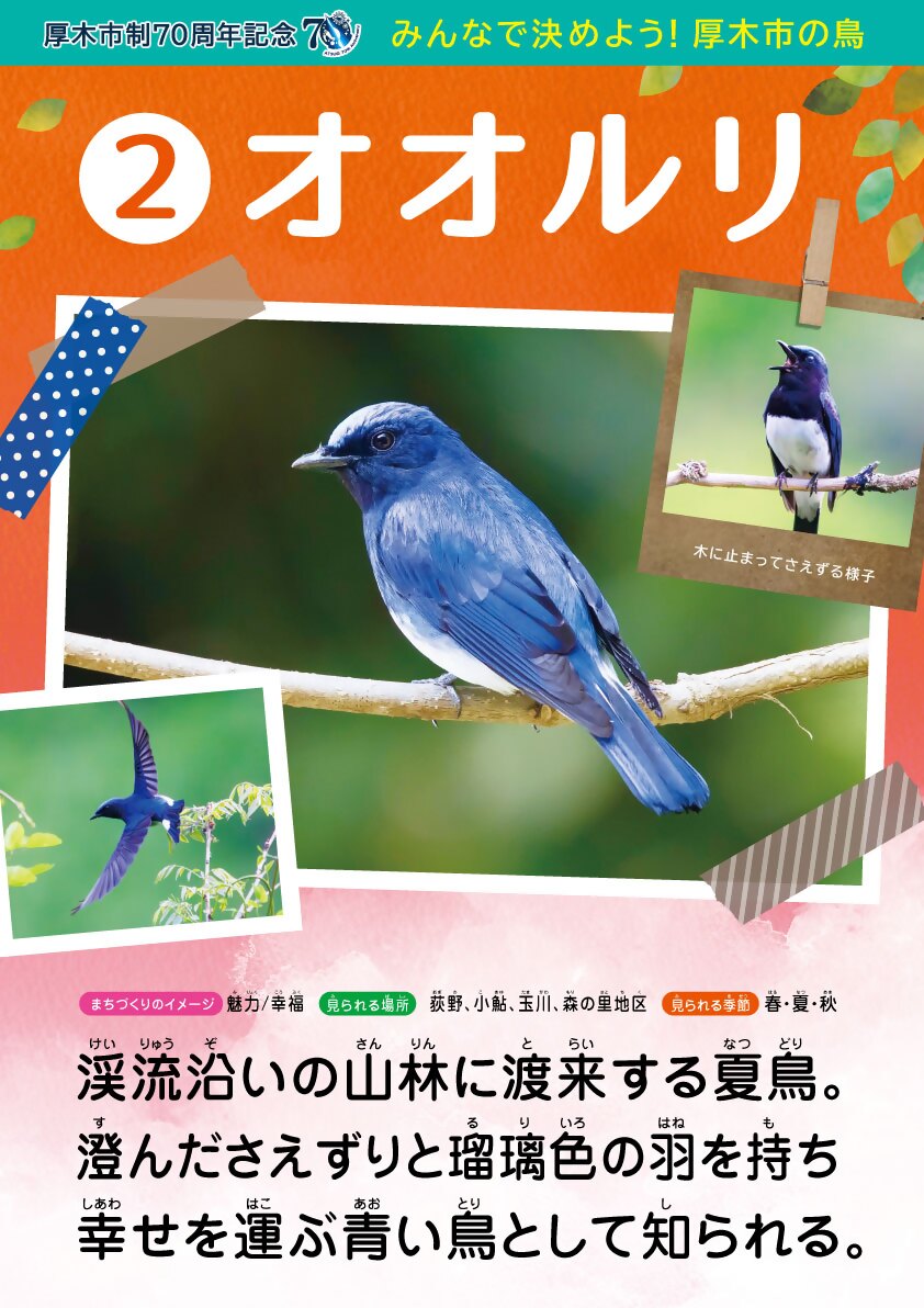 ooruri_ol
