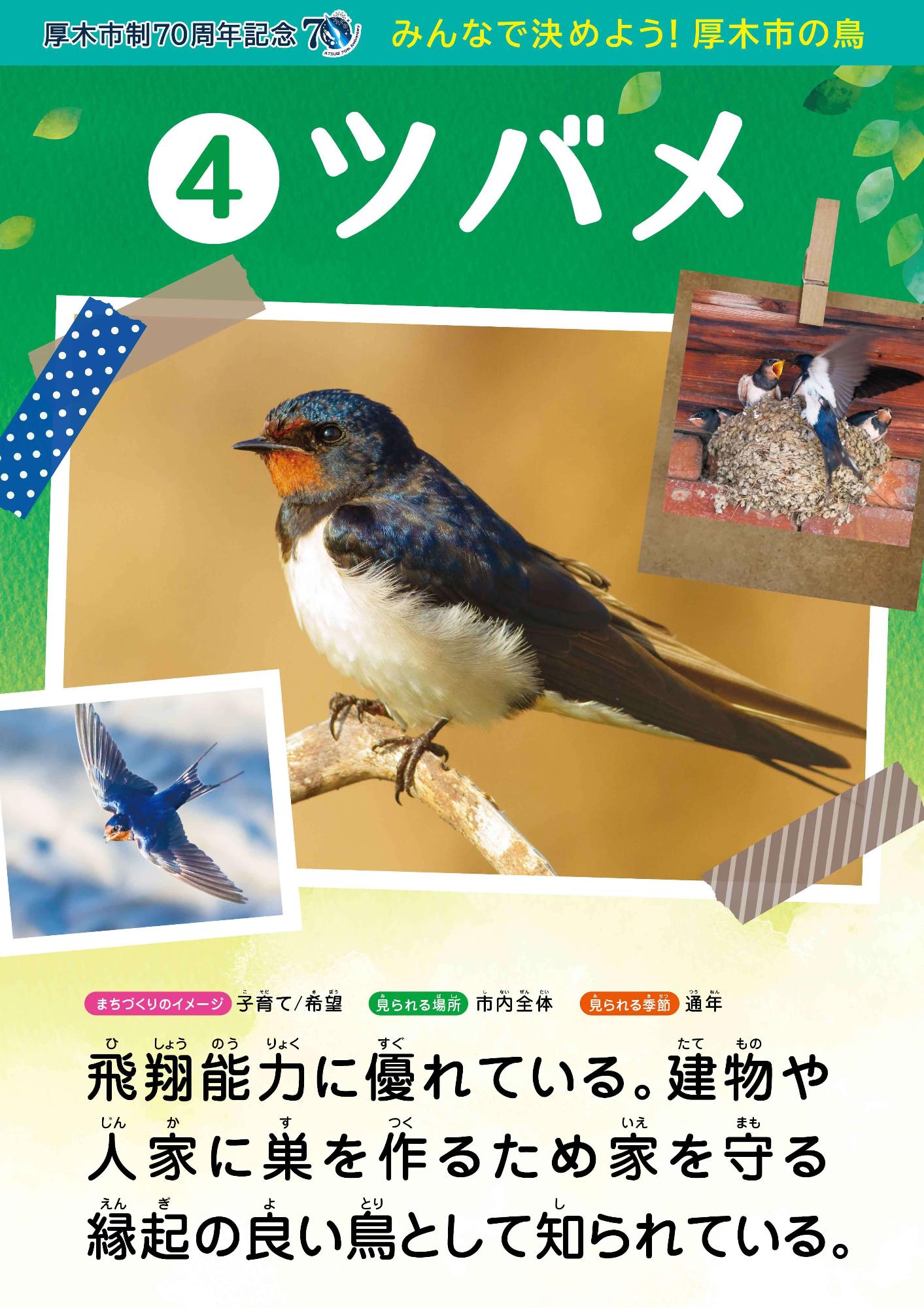 tsubame_ol