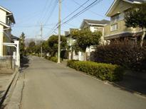 厚木古松台の街路樹が整備された住宅街の写真