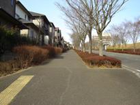 戸建住宅地区の歩道の写真