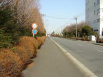神奈川県内陸工業団地の近くにある歩道の写真