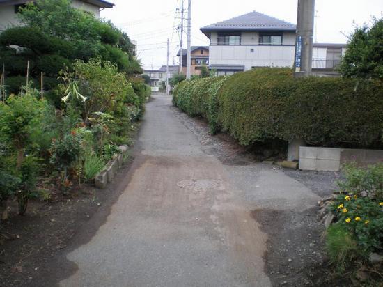 道の両サイドに草木が生い茂っており、生活道路が狭くなっている住宅街の写真