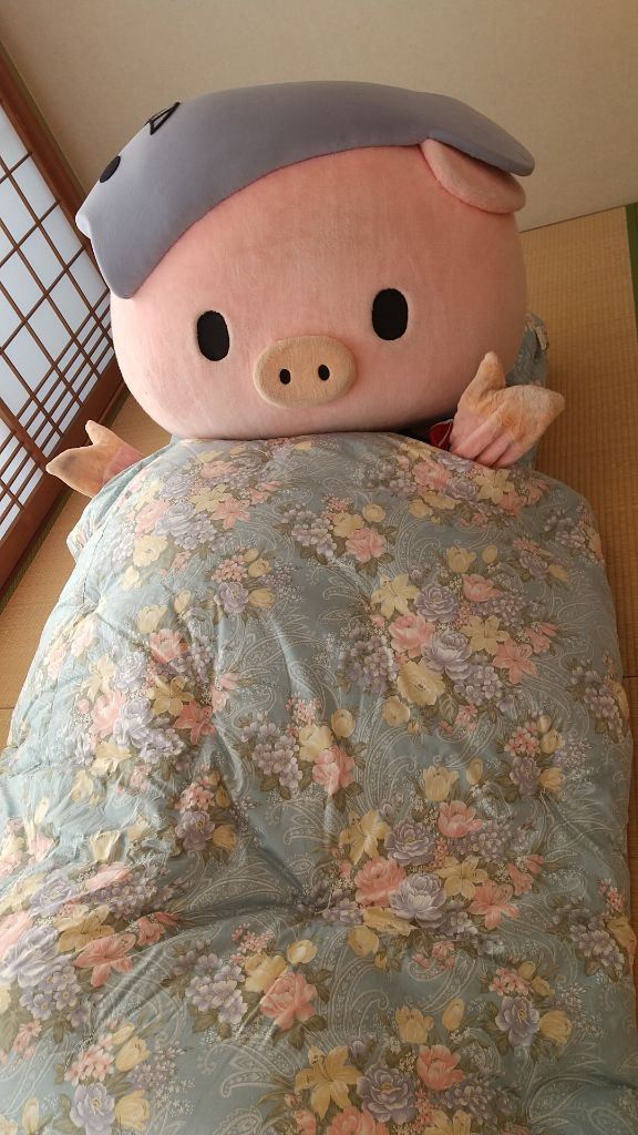 寝室で布団の中に入っているあゆコロちゃんの画像