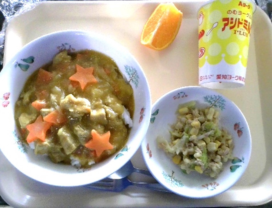 トレーの上に丼に盛られたベイスターズ青星寮カレー、飲むヨーグルト、お皿に盛られたステラサラダ、オレンジ、スプーンフォークが並べられている写真