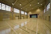 床に緑や白の線が引かれてある体育室の写真