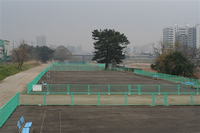 1面毎に緑の柵がしてあるゲートボール場全体の写真