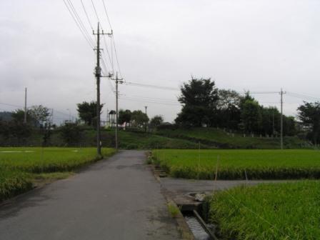 田園風景が広がる奥に、樹木が生い茂っている高台にある荻野山中陣屋跡の写真
