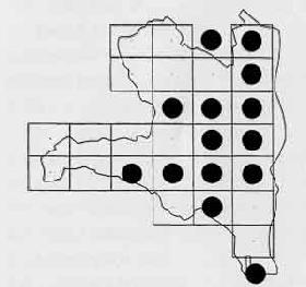 厚木市内のセイタカアワダチソウの分布図