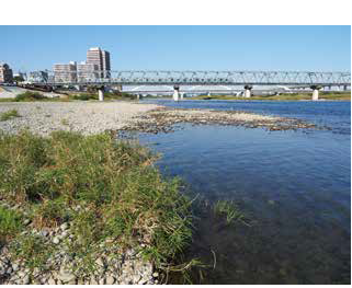 左奥に高層ビルが建っていて手前に橋が架かっている、浅瀬の川の河原から撮影した写真