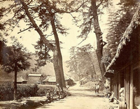 左奥に集落と道を挟んだ右手前に茅葺屋根の民家の間に大きな木が左に2本あり手前に座っている人と立っている人、右の1本の木の前に2名の人が立っている昔の人々の暮らしの写真