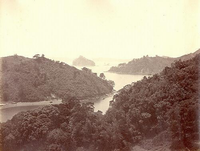 樹木に覆われている小さな島が点在している、長崎の高鉾島の昔の白黒写真