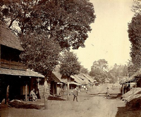 左右に大きな木が点在している間に、茅葺屋根の民家が建ち並んでおり軒下に座って休んでいる人、歩いている人など、昔の生活の白黒写真