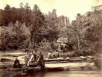 木々が生い茂っているそばの川に船着き場があり、法被を着た3名の船頭が反対側を向いて、左側の3名の男性と2名の女性はカメラを向いて座って船を待っている昔の白黒写真