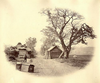 二軒の家が向かい合って建っており、右側の家の前に1本の大きな樹木、右側に人が歩いている昔の写真