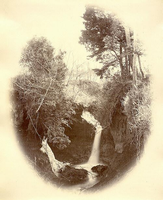 樹木が生えている崖下の小さな滝を撮影した白黒写真