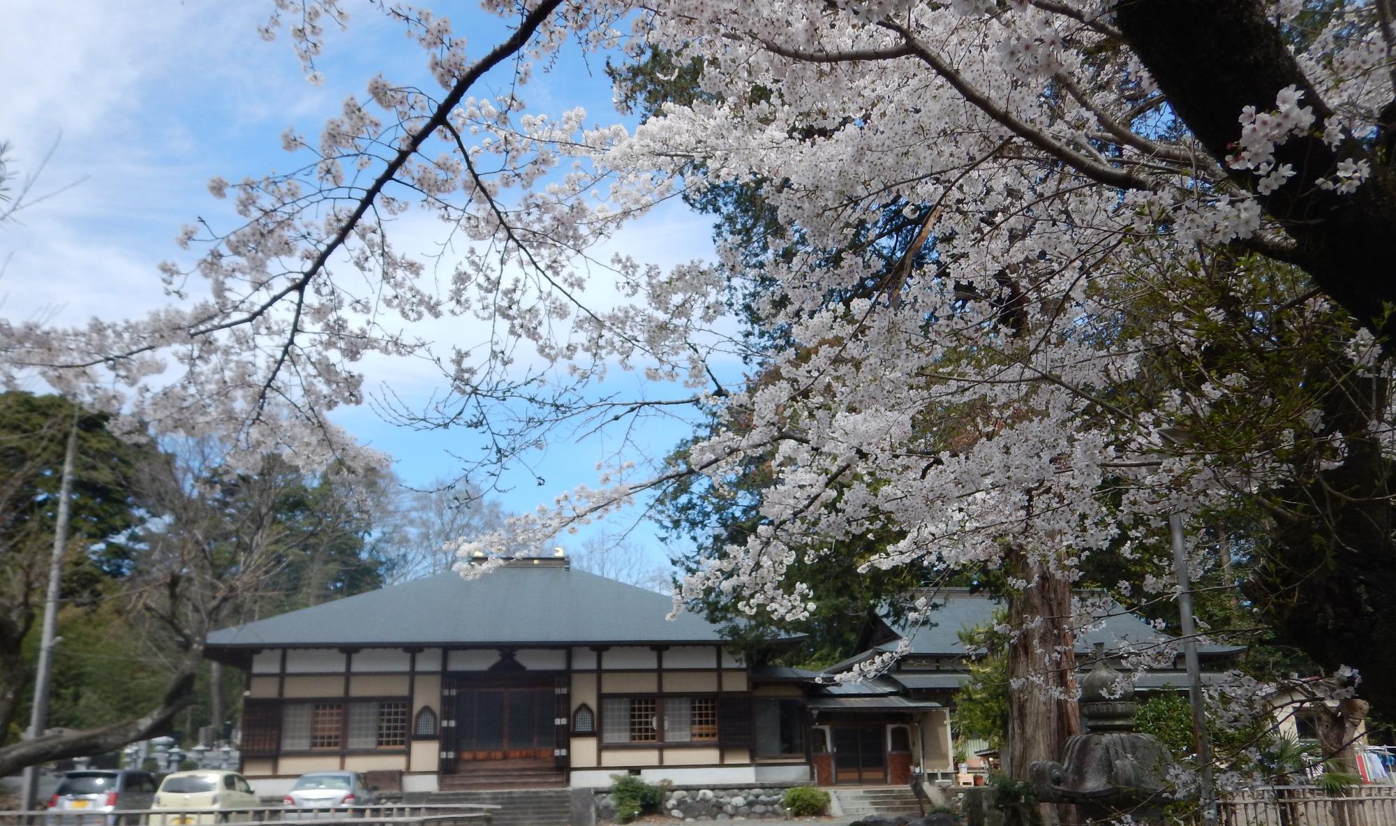 金剛寺正面からの風景