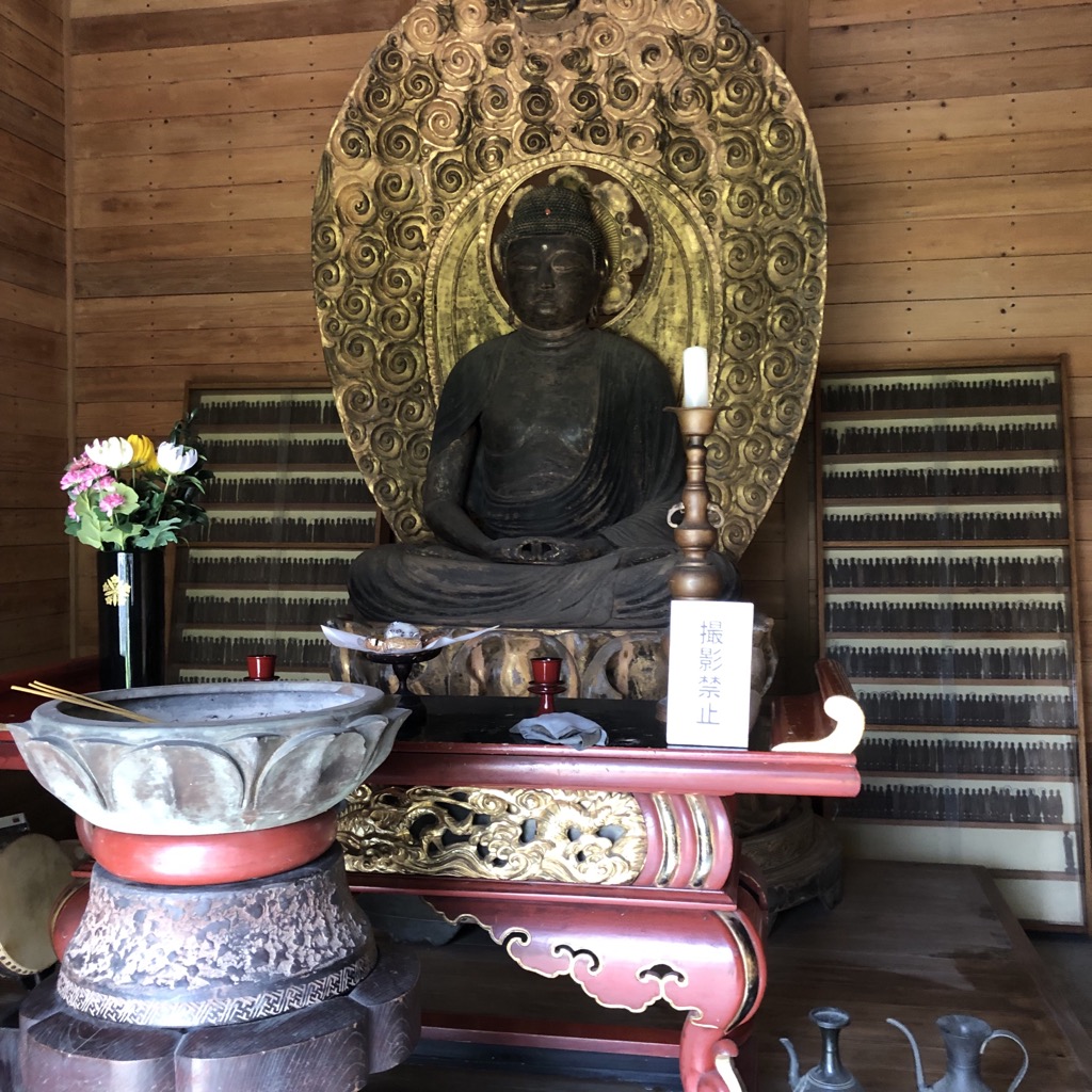 金剛寺阿弥陀如来坐像