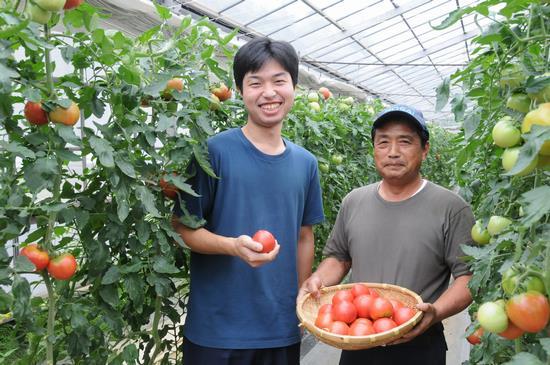 トマトが植えられているビニールハウスの中で青いTシャツを着た男性が右手に1つのトマトを持ち、帽子を被った男性がかごに入った沢山のトマトを持って笑顔で写っている写真