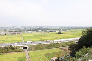田んぼが広がる風景を高い位置から写した写真